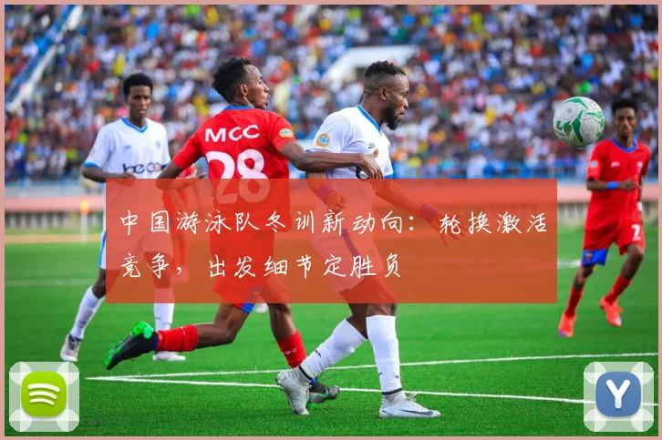 中国游泳队冬训新动向:轮换激活竞争,出发细节定胜负