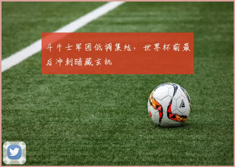 斗牛士军团低调集结,世界杯前最后冲刺暗藏玄机