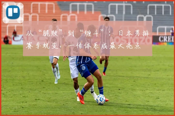 从“脆败”到“缠斗”:日本男排赛季蜕变,一传体系成最大亮点