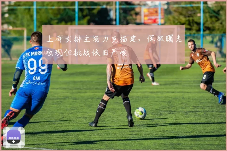 上海女排主场力克福建,保级曙光初现但挑战依旧严峻