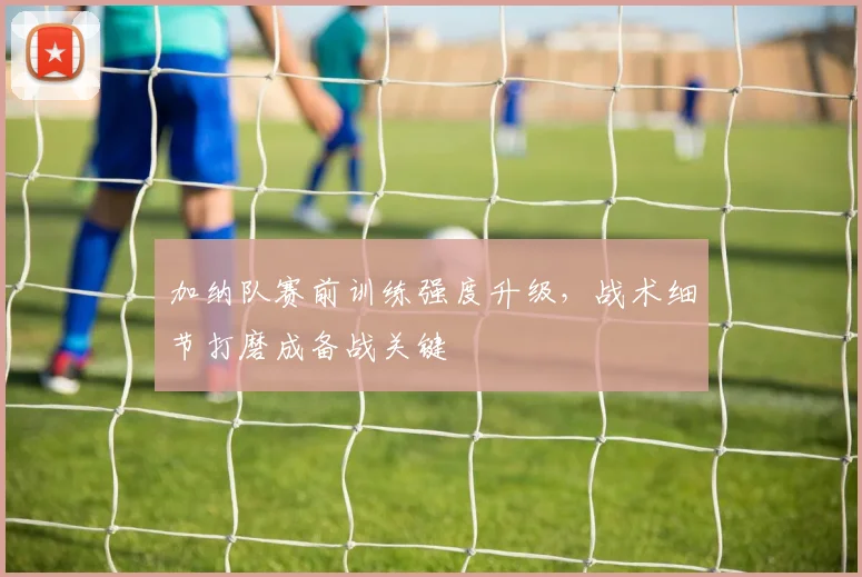 加纳队赛前训练强度升级,战术细节打磨成备战关键